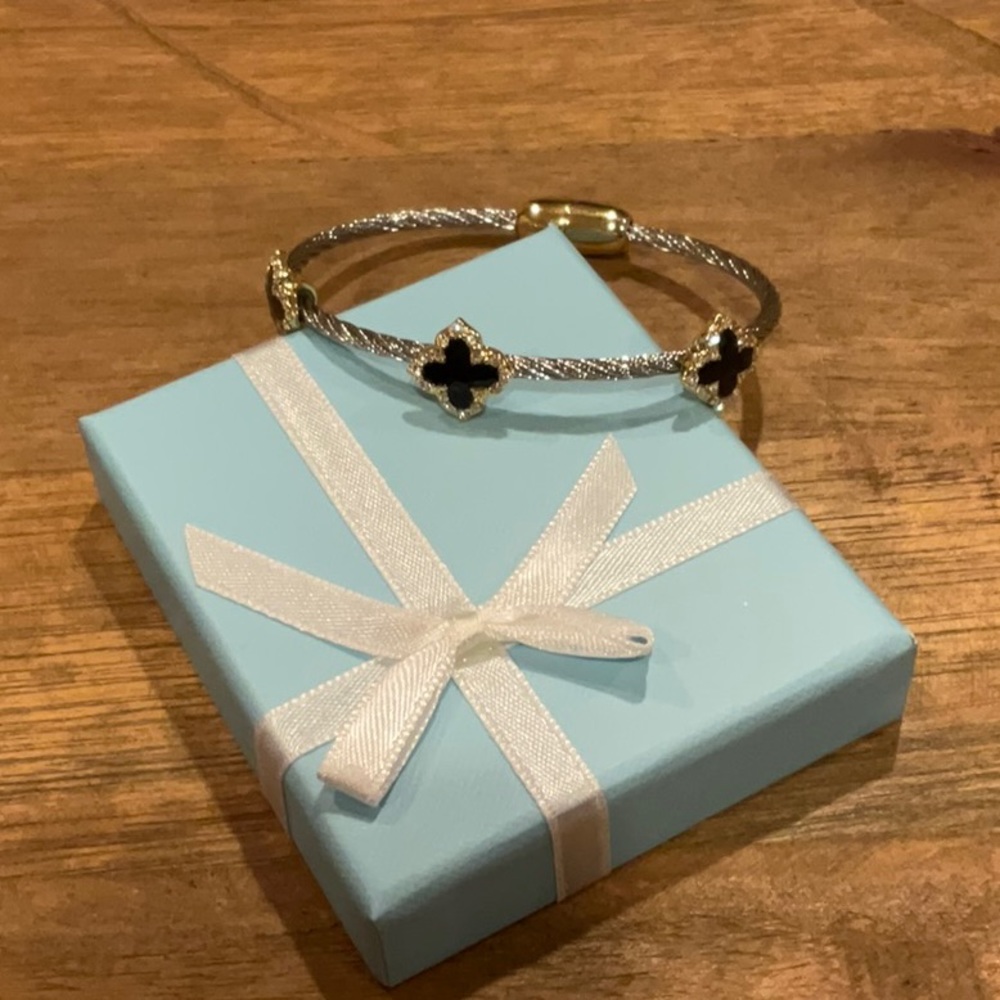 Stunning Bracelet NWOT